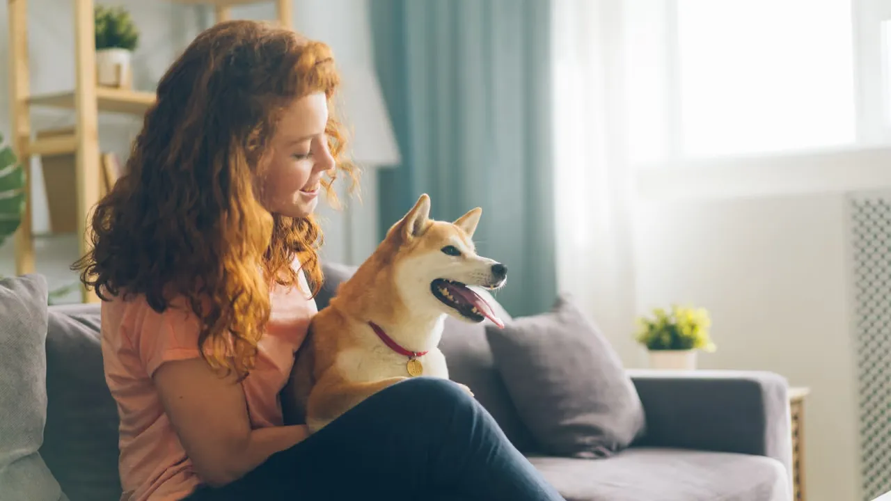 Så förbereder du hunden för ny hundvakt